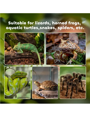 PawHut Glass Reptile Terrarium Insect Breeding Tank Vivarium Habitats with Thermometer for Lizards, Horned Frogs, Snakes, Spider