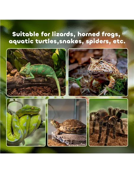 PawHut Glass Reptile Terrarium Insect Breeding Tank Vivarium Habitats with Thermometer for Lizards, Horned Frogs, Snakes, Spider