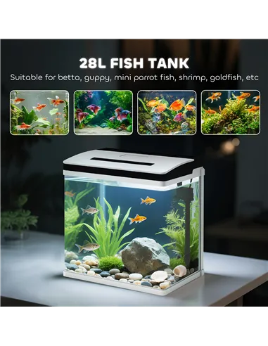 PawHut 28L Glass Aquarium Fish Tank with Filter, LED Lighting, for Betta, Guppy, Mini Parrot Fish, Shrimp, 38 x 26 x 39.5cm