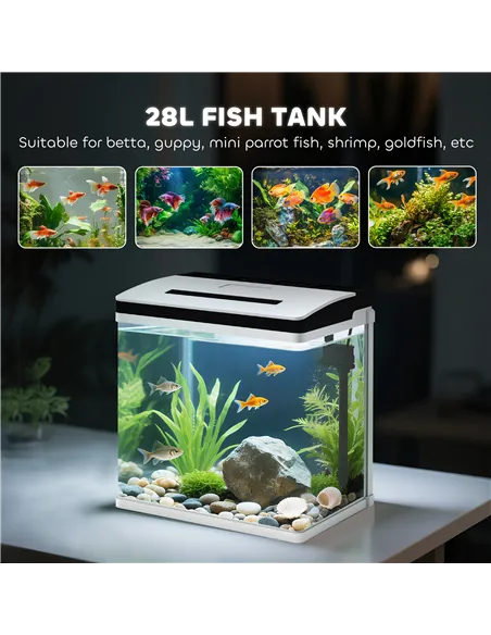 PawHut 28L Glass Aquarium Fish Tank with Filter, LED Lighting, for Betta, Guppy, Mini Parrot Fish, Shrimp, 38 x 26 x 39.5cm