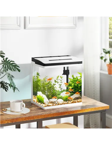 PawHut 13L Glass Aquarium Fish Tank with Filter, LED Lighting, for Betta, Guppy, Mini Parrot Fish, Shrimp, 29 x 20 x 30.5cm