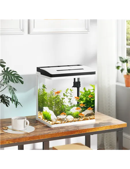 PawHut 13L Glass Aquarium Fish Tank with Filter, LED Lighting, for Betta, Guppy, Mini Parrot Fish, Shrimp, 29 x 20 x 30.5cm