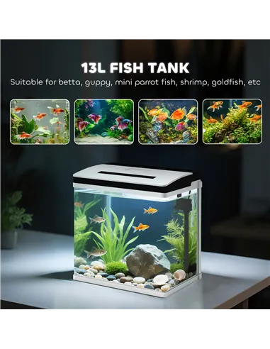 PawHut 13L Glass Aquarium Fish Tank with Filter, LED Lighting, for Betta, Guppy, Mini Parrot Fish, Shrimp, 29 x 20 x 30.5cm