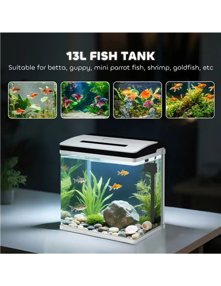 PawHut 13L Glass Aquarium Fish Tank with Filter, LED Lighting, for Betta, Guppy, Mini Parrot Fish, Shrimp, 29 x 20 x 30.5cm