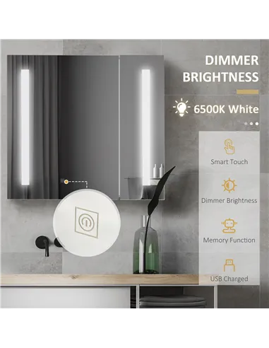 Illuminated Bathroom Mirror Cabinet 650 x 700Hmm LED Bathroom Mirror with Lights Touch Switch, Adjustable Shelf,  USB Charge, Wh