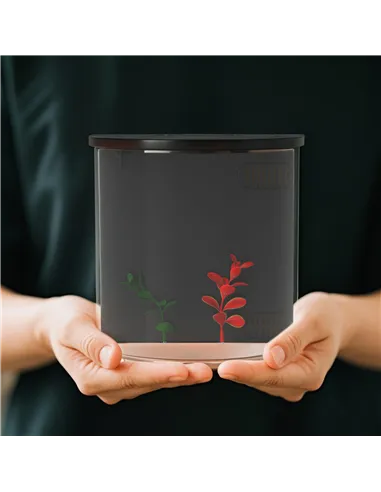 PawHut 3L Small Fish Tank with Filter System, LED Light, Small Fish Tank for Betta, Goldfish, Shrimp, Black