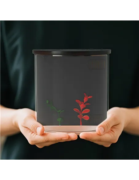 PawHut 3L Small Fish Tank with Filter System, LED Light, Small Fish Tank for Betta, Goldfish, Shrimp, Black