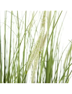 Hill Interiors Large Onion Grass Plant In Pot 23706 2