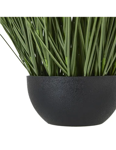 Hill Interiors Large Onion Grass Plant In Pot 23706