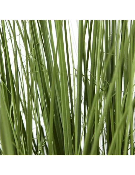 Hill Interiors Large Onion Grass Plant In Pot 23706