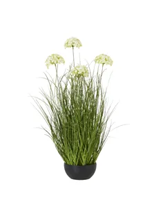 Hill Interiors Large White Allium Plant In Pot 23713