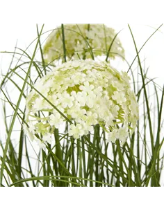 Hill Interiors Large White Allium Plant In Pot 23713 2