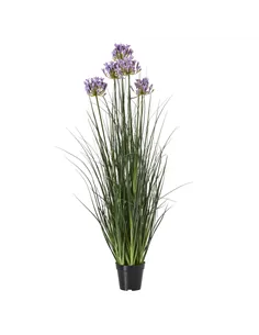 Hill Interiors Large Purple Agapanthus Plant In Pot 23714