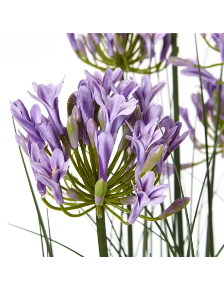 Hill Interiors Large Purple Agapanthus Plant In Pot 23714