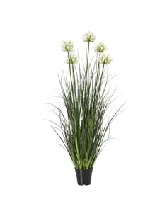 Hill Interiors Large White Agapanthus Plant In Pot 23715