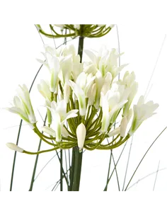 Hill Interiors Large White Agapanthus Plant In Pot 23715 2