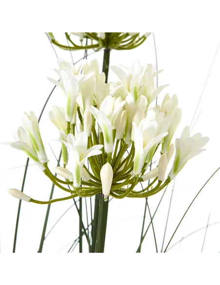 Hill Interiors Large White Agapanthus Plant In Pot 23715