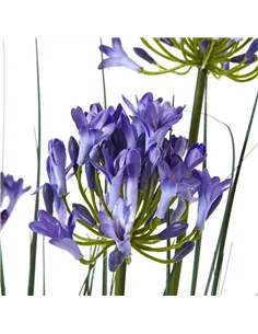 Hill Interiors Large Blue Agapanthus Plant In Pot 23716 2
