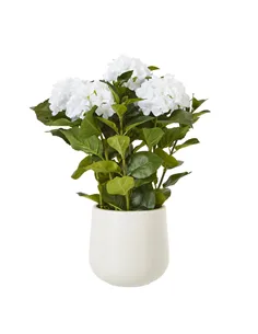 Hill Interiors Medium White Hydrangea Plant In Pot 23749