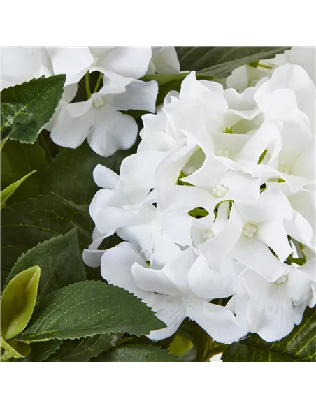 Hill Interiors Medium White Hydrangea Plant In Pot 23749