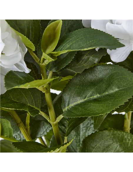Hill Interiors Medium White Hydrangea Plant In Pot 23749