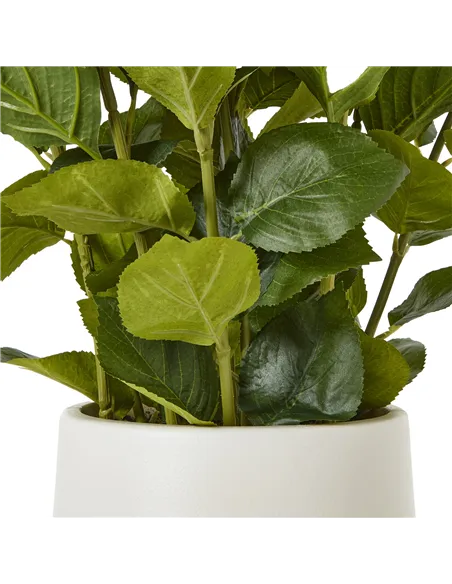 Hill Interiors Medium White Hydrangea Plant In Pot 23749