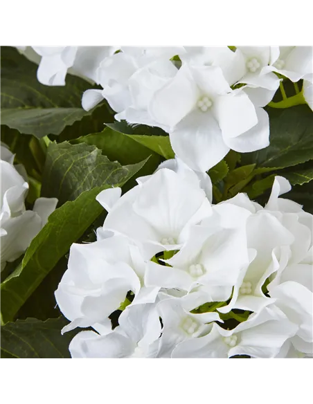 Hill Interiors Large White Hydrangea Plant In Pot 23750
