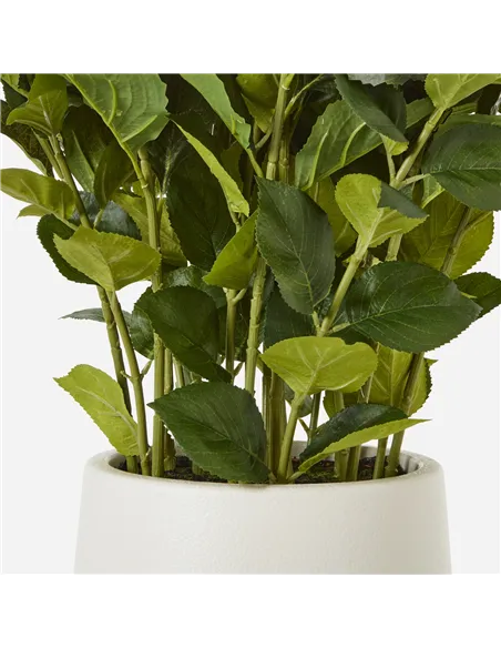 Hill Interiors Large White Hydrangea Plant In Pot 23750