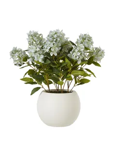Hill Interiors Medium Green Hydrangea Plant In Pot 23751