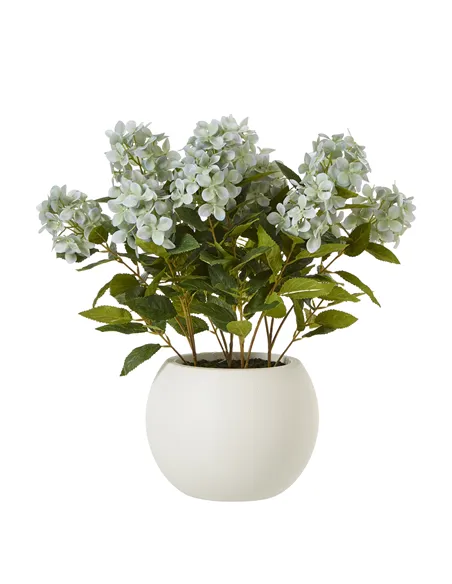 Hill Interiors Medium Green Hydrangea Plant In Pot 23751