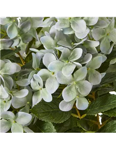 Hill Interiors Medium Green Hydrangea Plant In Pot 23751 2