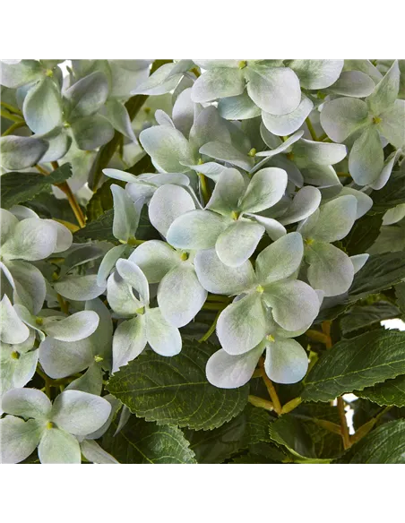 Hill Interiors Medium Green Hydrangea Plant In Pot 23751