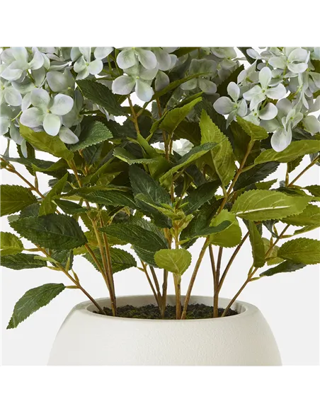 Hill Interiors Medium Green Hydrangea Plant In Pot 23751