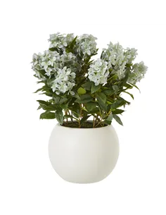 Hill Interiors Large Green Hydrangea Plant In Pot 23752