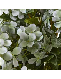 Hill Interiors Large Green Hydrangea Plant In Pot 23752 2