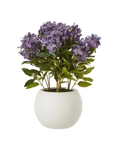 Hill Interiors Medium Purple Hydrangea Plant In Pot 23753