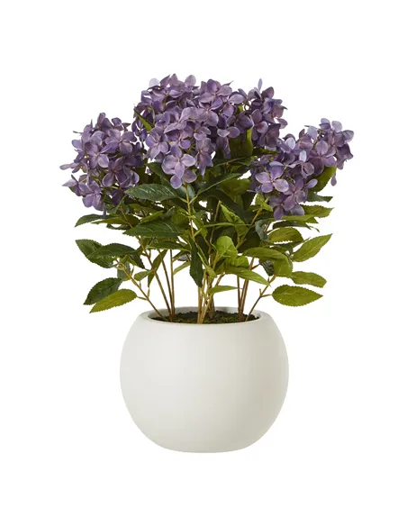 Hill Interiors Medium Purple Hydrangea Plant In Pot 23753