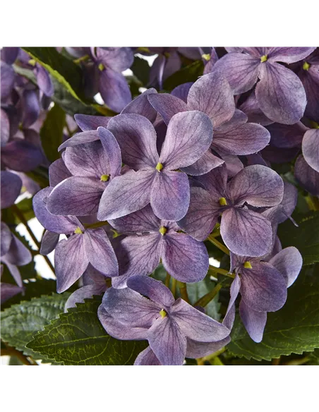 Hill Interiors Medium Purple Hydrangea Plant In Pot 23753