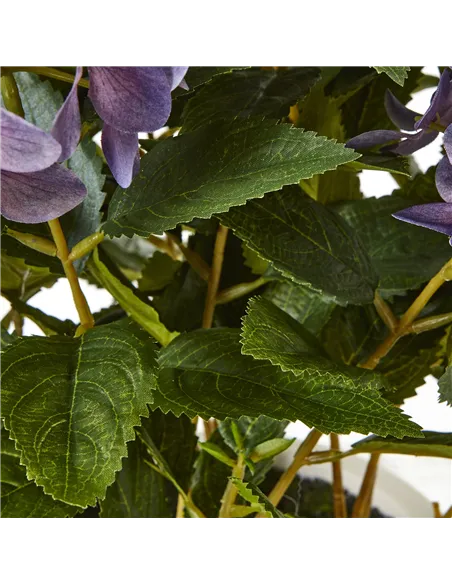 Hill Interiors Medium Purple Hydrangea Plant In Pot 23753