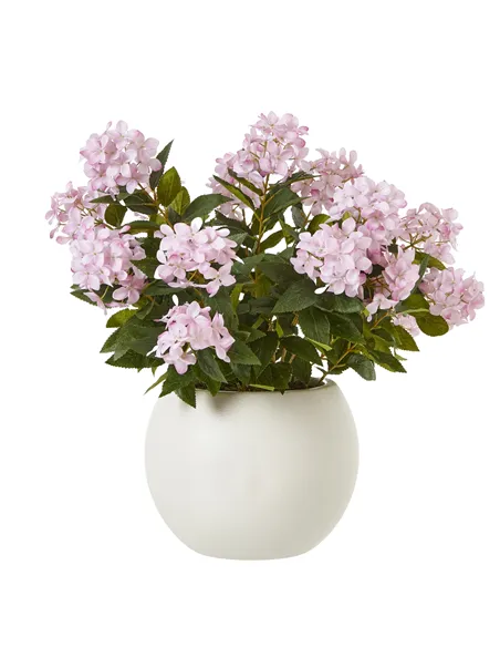 Hill Interiors Large Pink Hydrangea Plant In Pot 23754