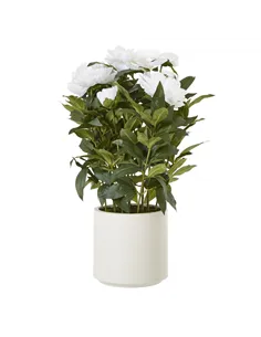 Hill Interiors Large White Peony Plant In Pot 23755