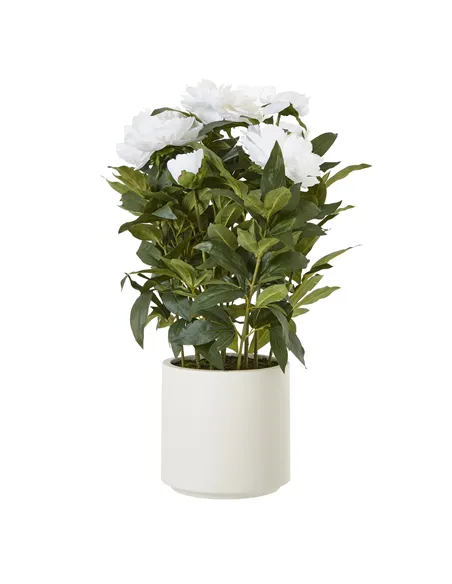 Hill Interiors Large White Peony Plant In Pot 23755