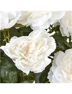 Hill Interiors Large White Peony Plant In Pot 23755 2