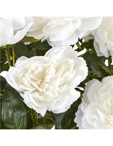 Hill Interiors Large White Peony Plant In Pot 23755