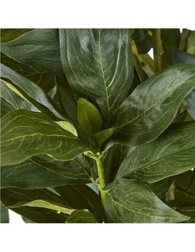 Hill Interiors Large White Peony Plant In Pot 23755