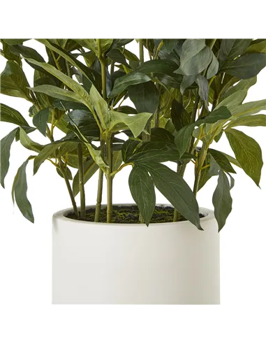 Hill Interiors Large White Peony Plant In Pot 23755