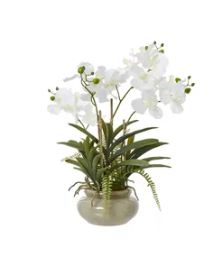 Hill Interiors White Vanda Orchid Plant In Ceramic Pot 23757