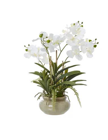 Hill Interiors White Vanda Orchid Plant In Ceramic Pot 23757