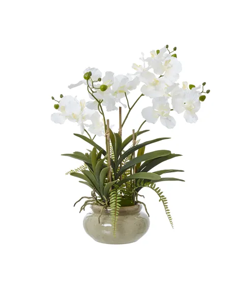Hill Interiors White Vanda Orchid Plant In Ceramic Pot 23757