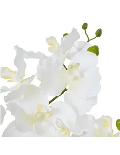 Hill Interiors White Vanda Orchid Plant In Ceramic Pot 23757 2